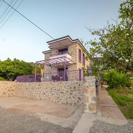 Tatil Evi Mor Salkım Evi *